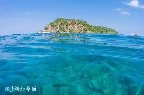 丧尸围城2