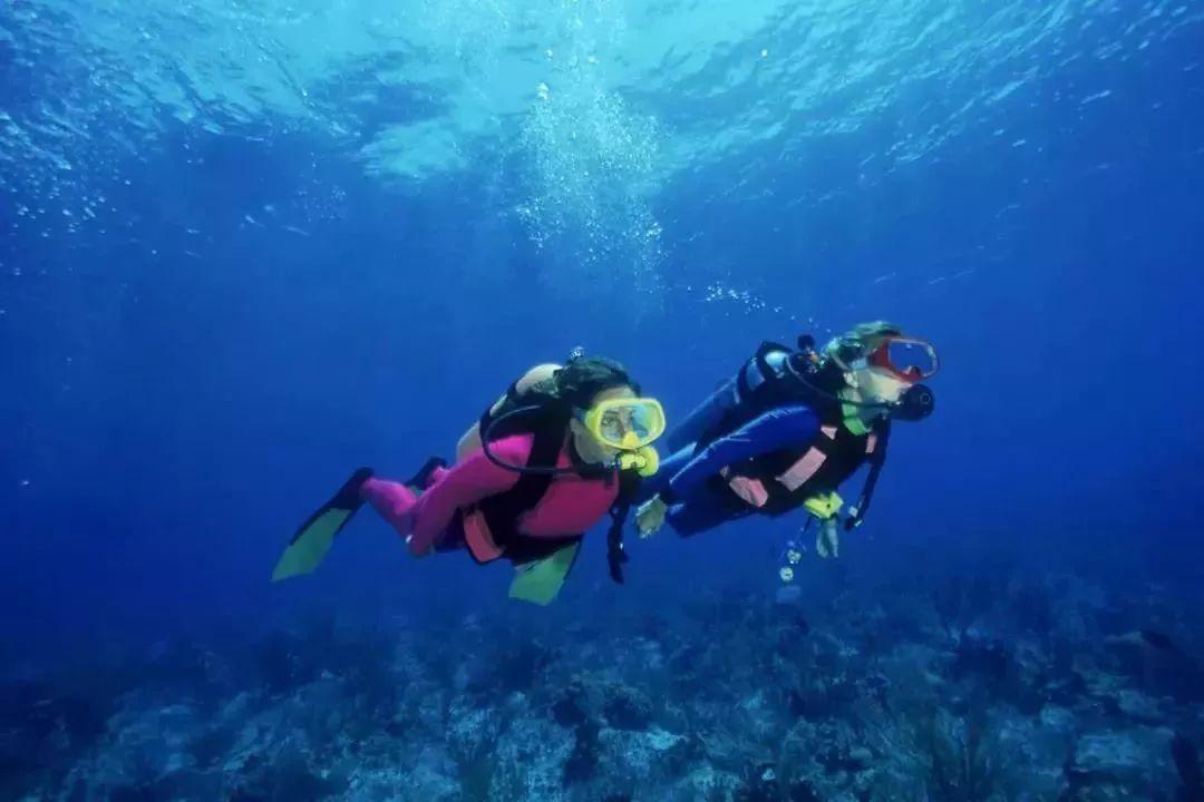 迷雾求生